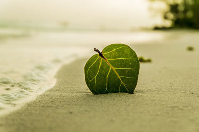 Eco Friendly Sunscreen