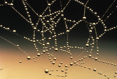 Hyaluronic Acid