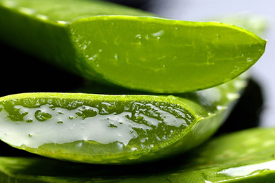 Aloe Vera for Hair