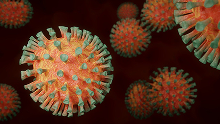 Coronavirus model