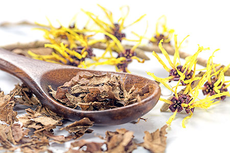 Witch hazel flowers for acne