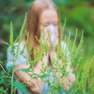 Young woman sneezes because of an allergy to ragweed.