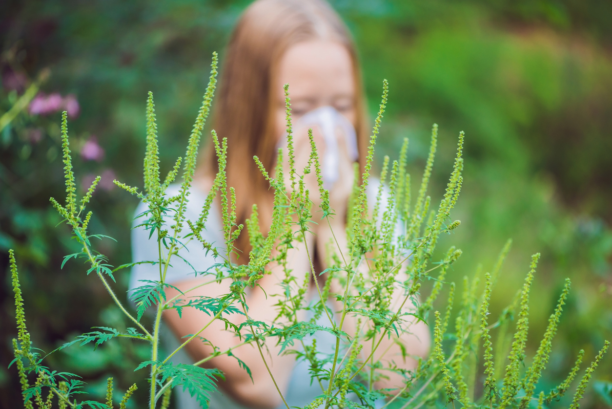 Young woman sneezes because of an allergy to ragweed.
